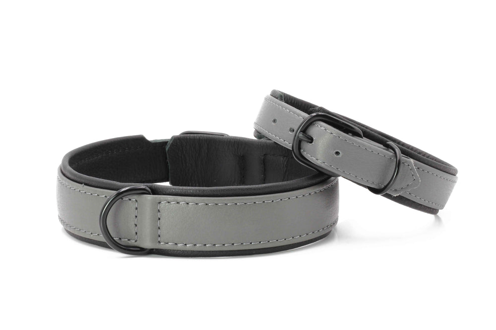 "AMICI Nappa-Halsband für Hunde in elegantem Grau mit D-Ring, ideal für stilbewusste Hundefreunde."