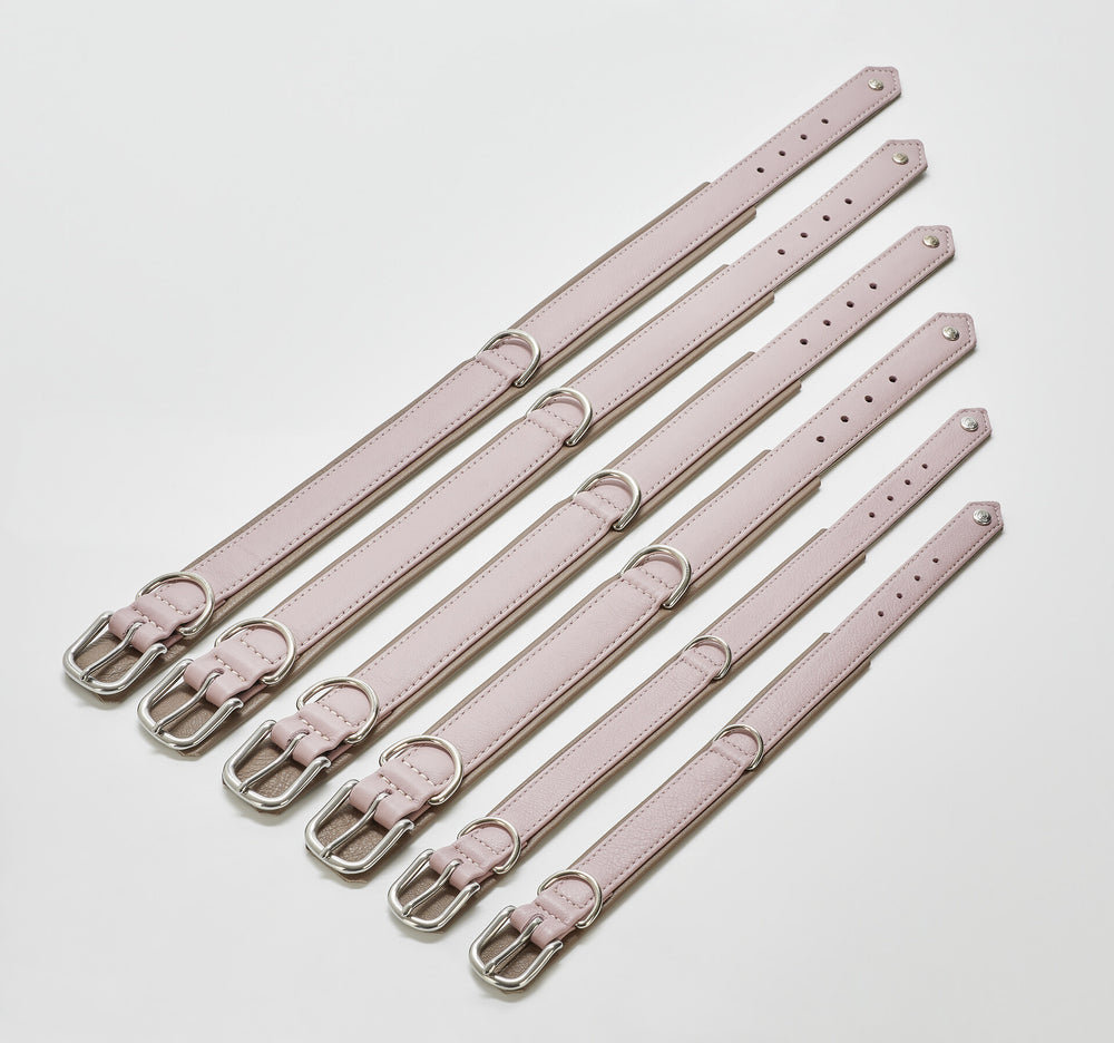 Stylishe pinkfarbene Halsband-Leinen-Kombination mit silbernen Schnallen, ideal für trendbewusste Hundehalter.