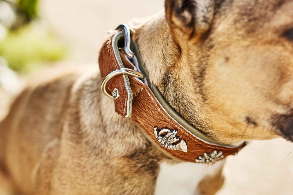 "Braunes Lederhundehalsband von BAVARIA mit metallischer Schnalle und D-Ring für Leine, im exklusiven Material-Mix."