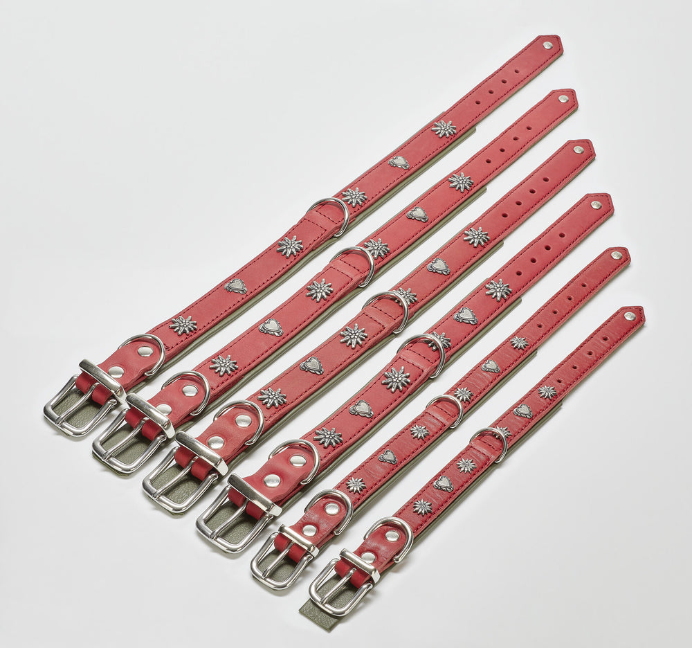 Elegantes Edelweiss Leine & Halsband Set in rot mit Metallbeschlägen und dekorativen Sternen – perfekt für stilbewusste Hundefreunde.
