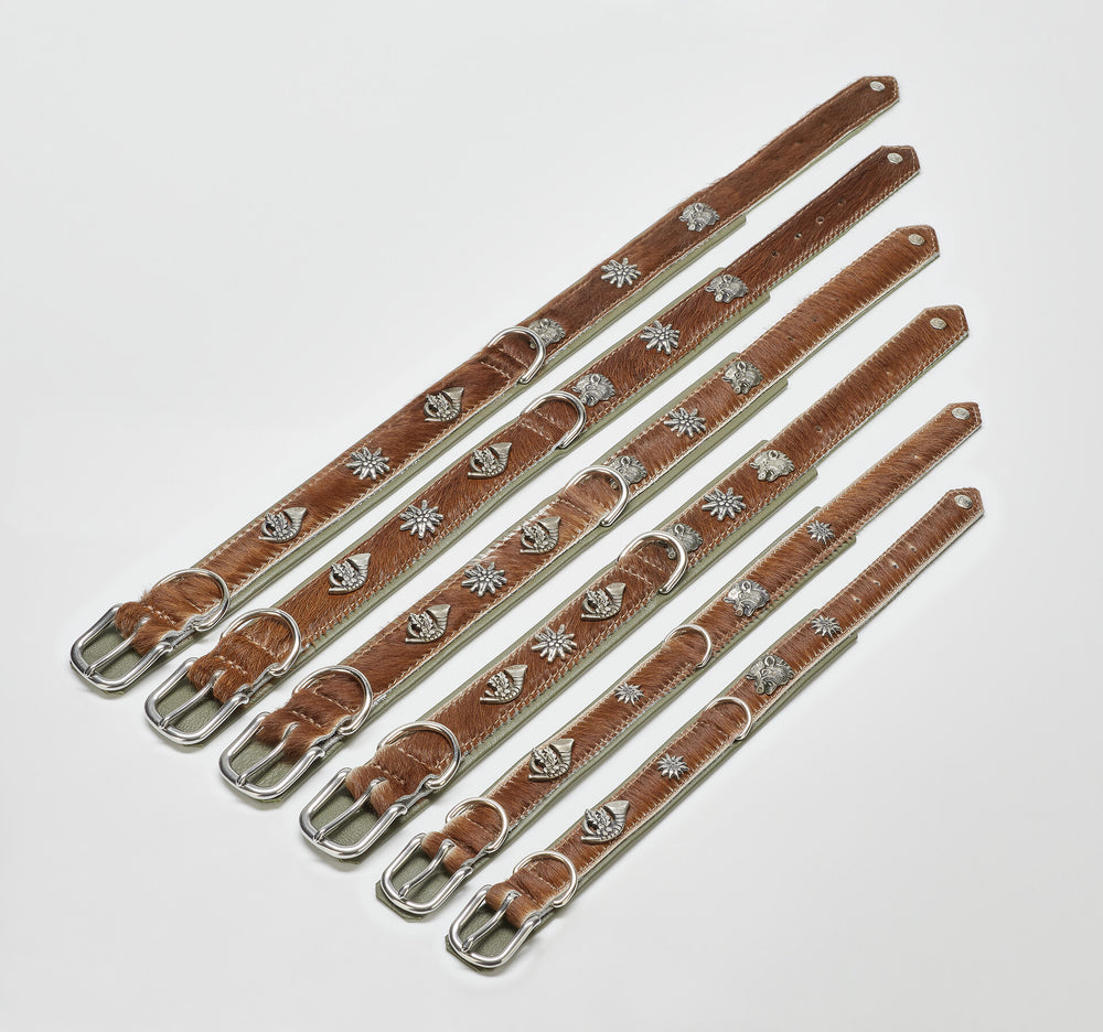 Braune Leder-Gürtelbänder mit silbernen Verzierungen für einen markanten und stilvollen Look.