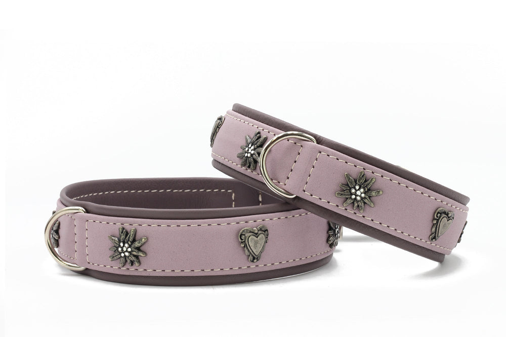 Zwei zarte lila Hundehalsbänder mit blumenförmigen und herzförmigen Metallverzierungen und D-Ring zum Befestigen.