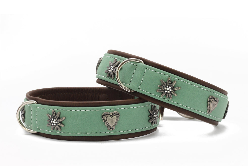"Halsband Alpenherz: Zwei mintgrüne Hundehalsbänder mit braunem Innenfutter und silbernen Herzen und Blüten."