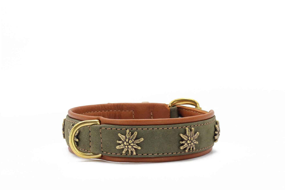 Hundehalsband "Bergzauber" in grün mit goldenen Details, brauner Lederinnenseite und zwei D-Ringen zur Leinenbefestigung.