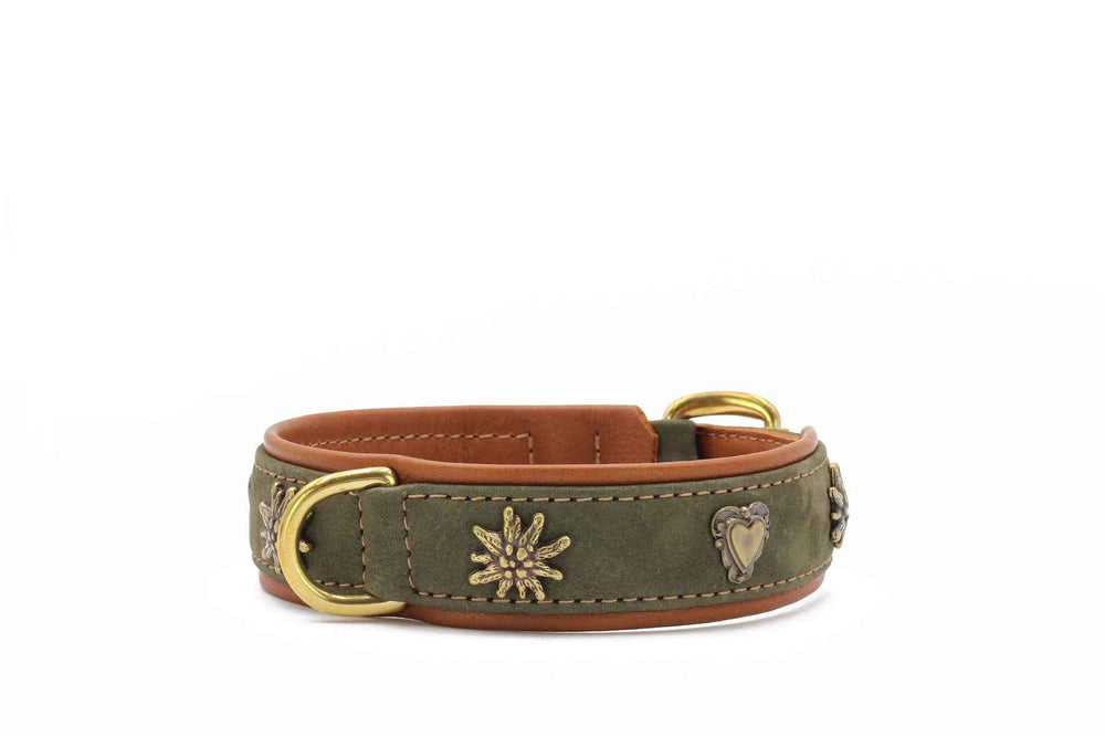 "Hundehalsband Bergzauber in olivgrüner Wildleder-Optik mit braunen Akzenten und goldenen Schnallen, verzierte Herzen."
