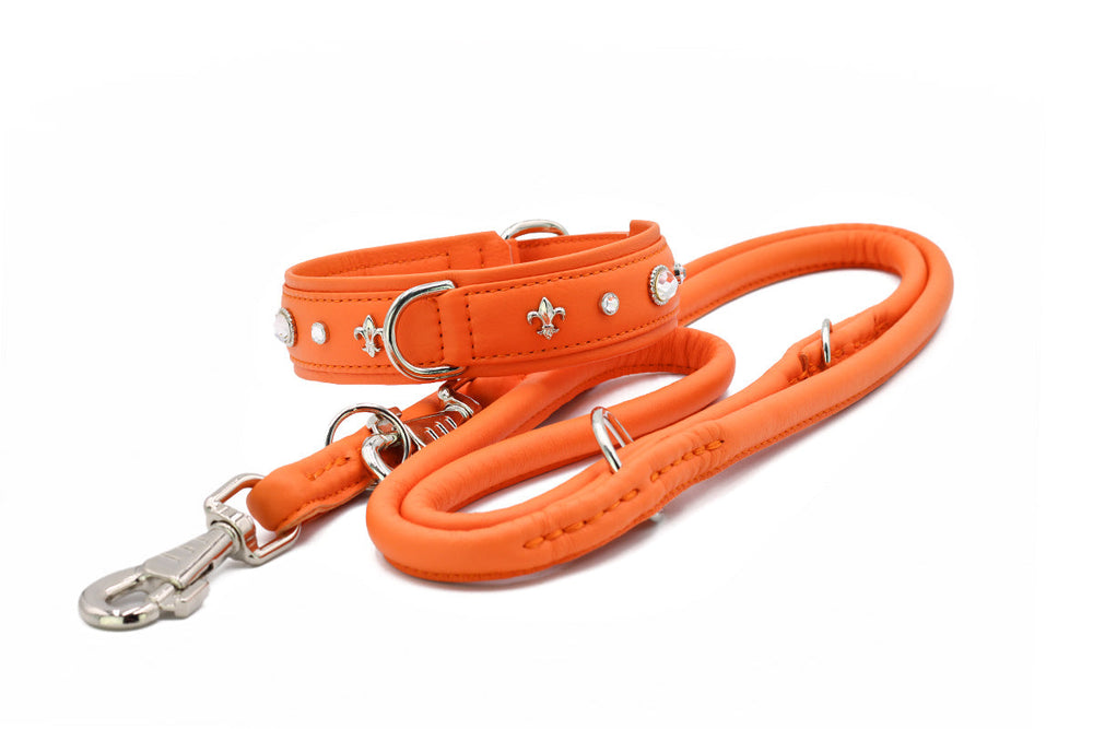 Oranges Hundehalsband mit Kristallen und Fleur-de-Lis-Motiven, ergänzt durch eine passende Hundeleine.