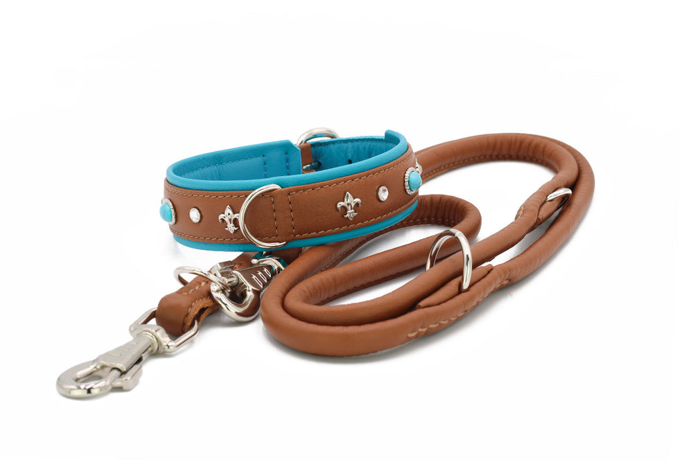 Braunes Hundehalsband mit blauen Details und silbernen Fleur-de-Lis-Verzierungen, dazu passende Leine.