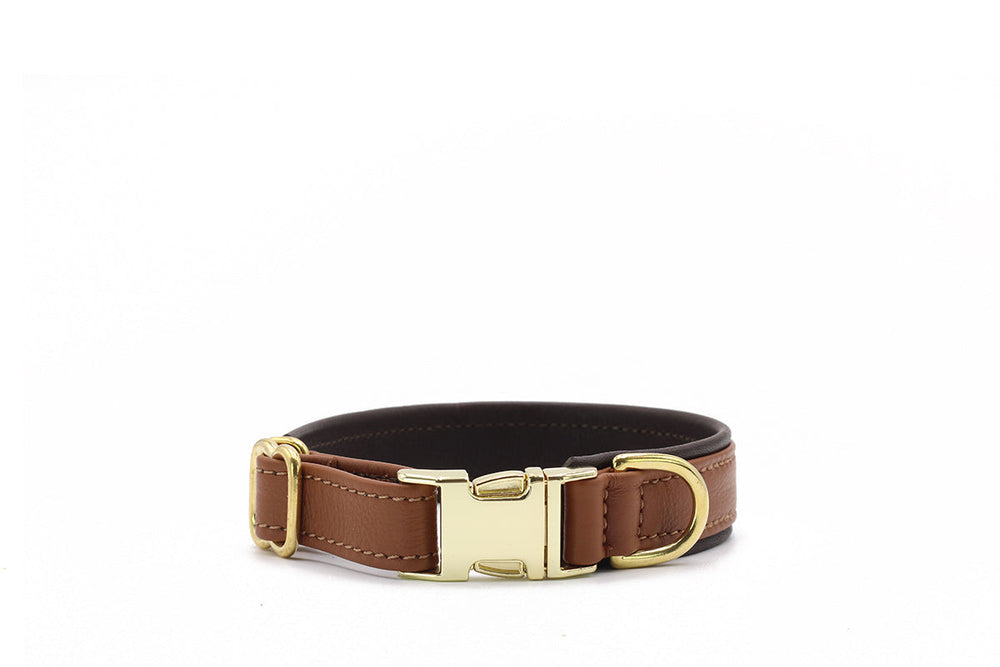 Halsband Klassik Klick
