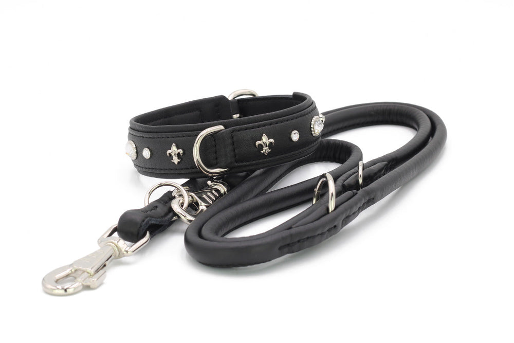 Schwarzes Lederhundehalsband mit Leine, verziert mit silbernen Details und Rhinestones, elegant und langlebig.