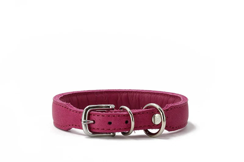 Gepolstertes pinkfarbenes Hundehalsband aus Leder mit metallener Schnalle und D-Ringen für optimalen Komfort.