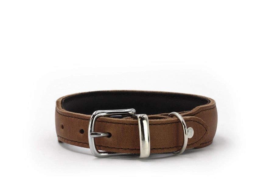 Braunes gepolstertes Hundehalsband aus Leder mit klassischer Metallschnalle und verstellbaren Löchern für optimale Passform.