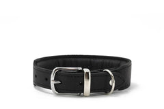 Schwarzes gepolstertes Halsband aus Leder mit silberner Schnalle und verstellbaren Löchern auf weißem Hintergrund.