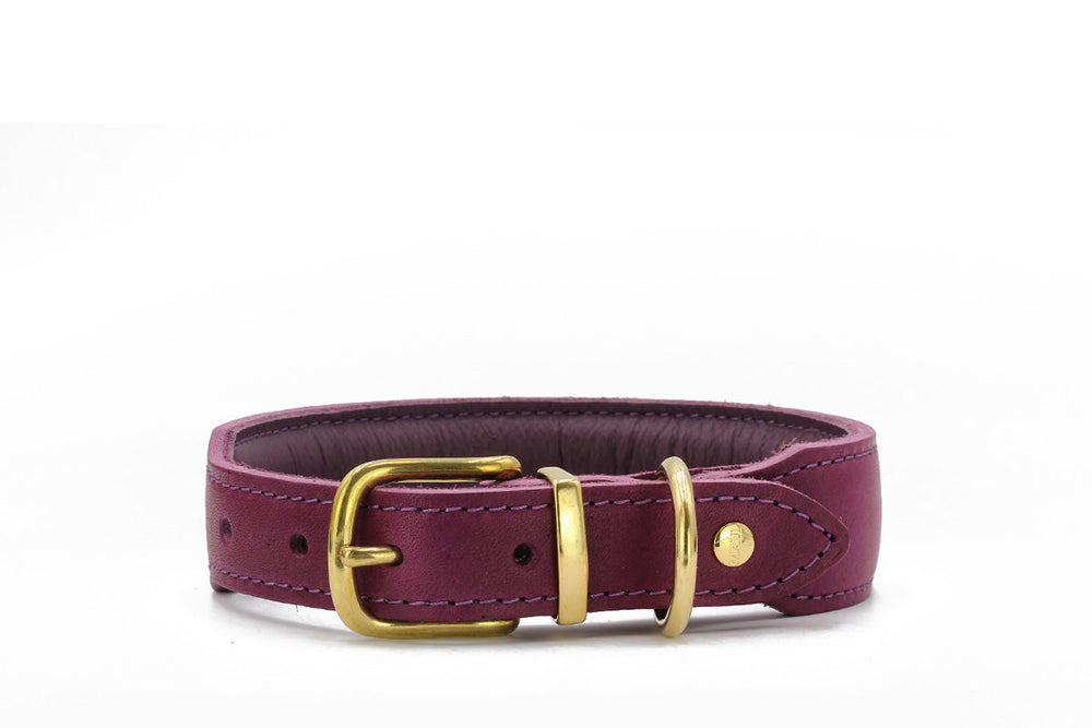 Violetter Lederhundehalsband Mono Pop Herbst Edition mit goldener Schnalle und abgesteppten Kanten.