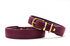 Weinrotes Halsband Mono Pop mit goldenen Schnallen und Nieten für Hunde in hochwertiger Verarbeitung.