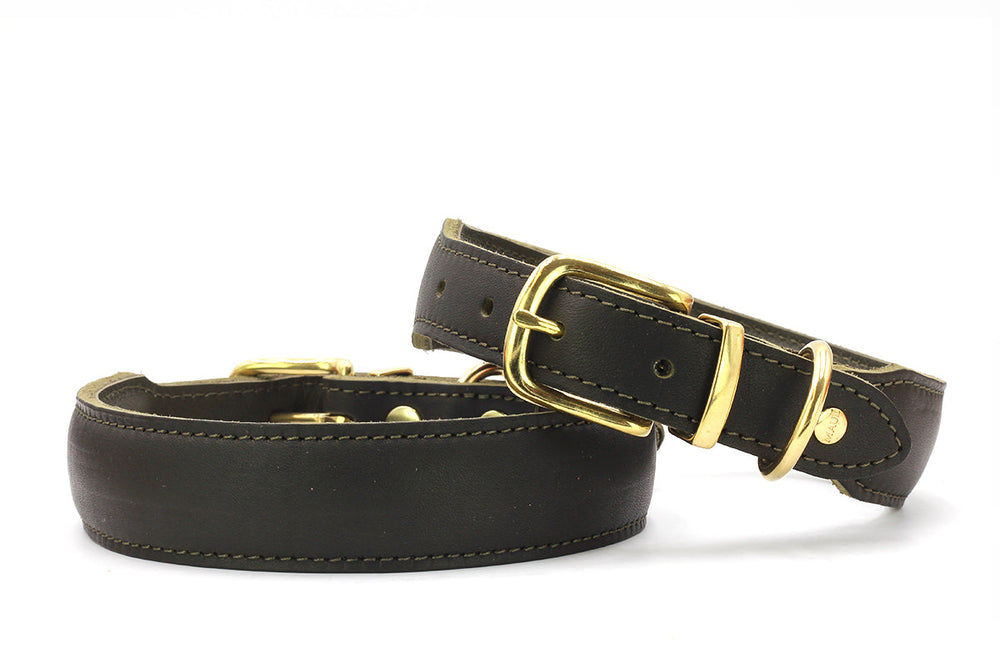 Schwarze Lederhalsbänder mit goldfarbenen Schnallen, elegantes Design, Herbst Edition für Hunde.