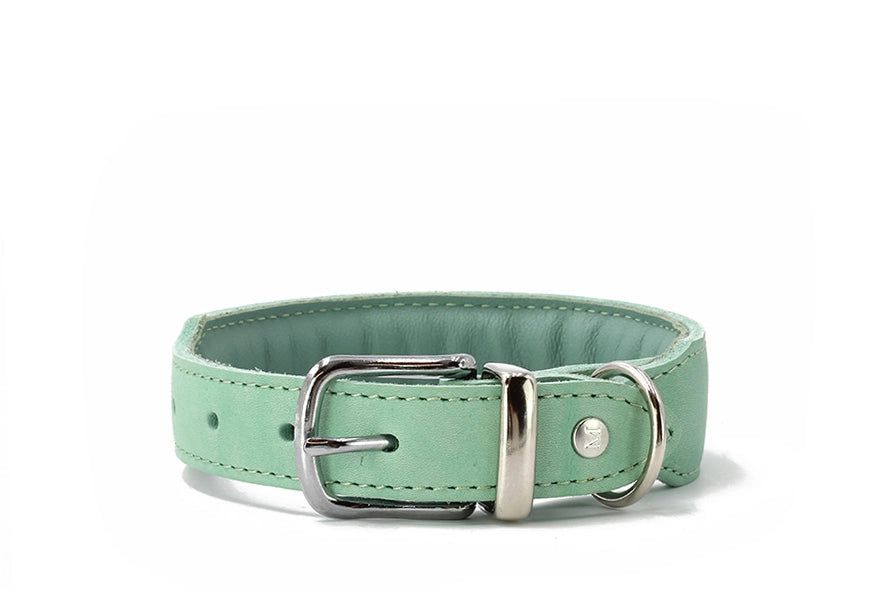 "Gepolstertes mintgrünes Lederhalsband mit klassischer Metallschnalle und D-Ring für Hundeleinen."