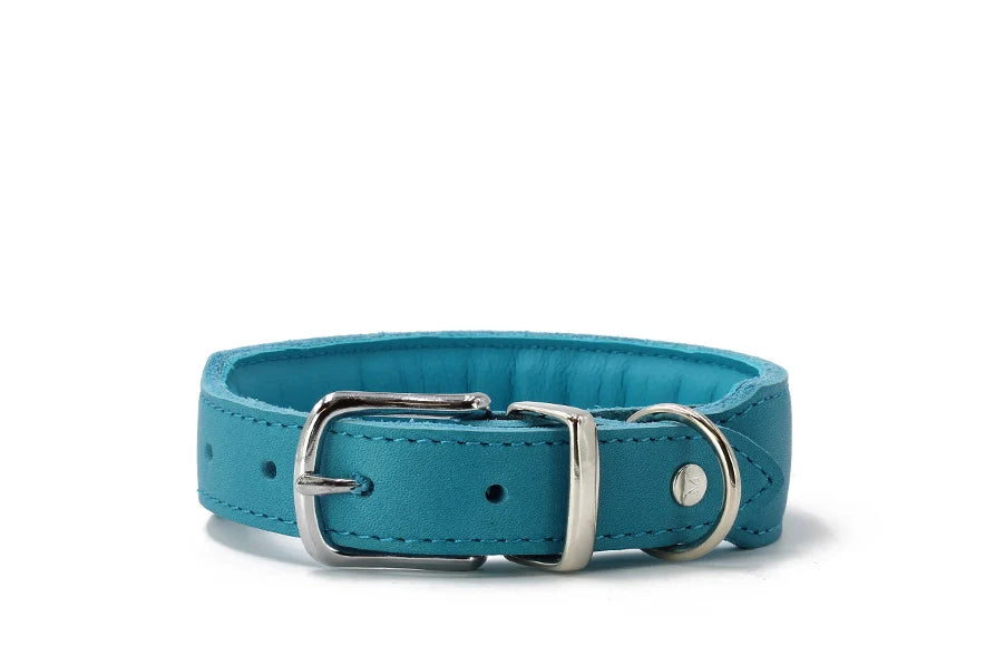Gepolstertes hellblaues Hundehalsband aus Leder mit silberner Schnalle und D-Ring, elegant und komfortabel.