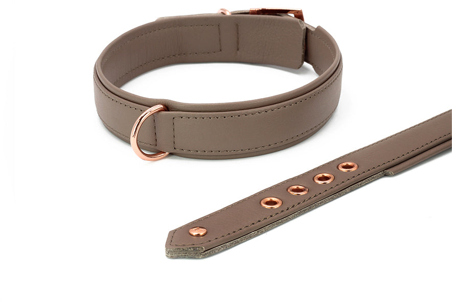 Beige Hundehalsband mit goldenen D-Ringen, elegantes Design und mehrere Anpassungslöcher für optimale Passform.