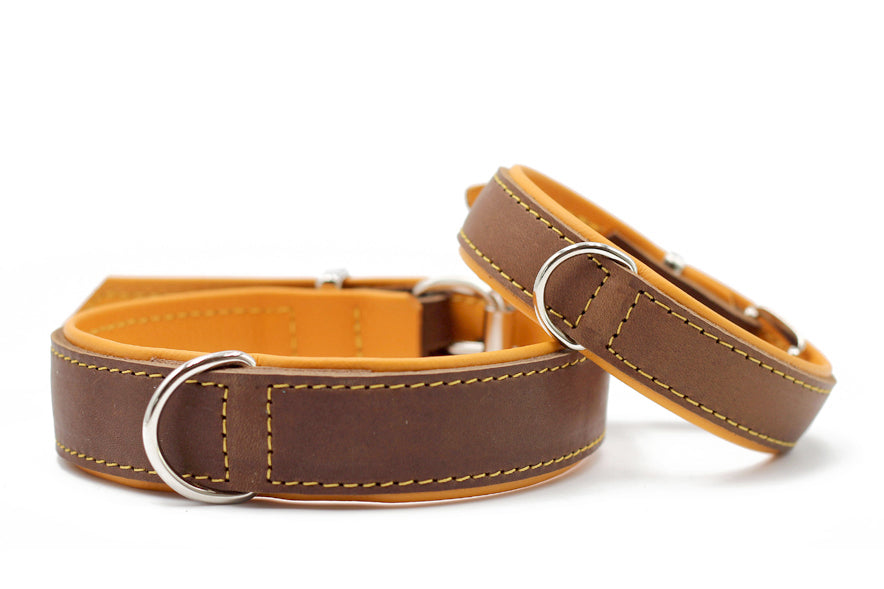 Braunes Leder-Halsband für Hunde mit gelben Nähten und silbernem D-Ring zur Leinenbefestigung. Klassisch und stilvoll.