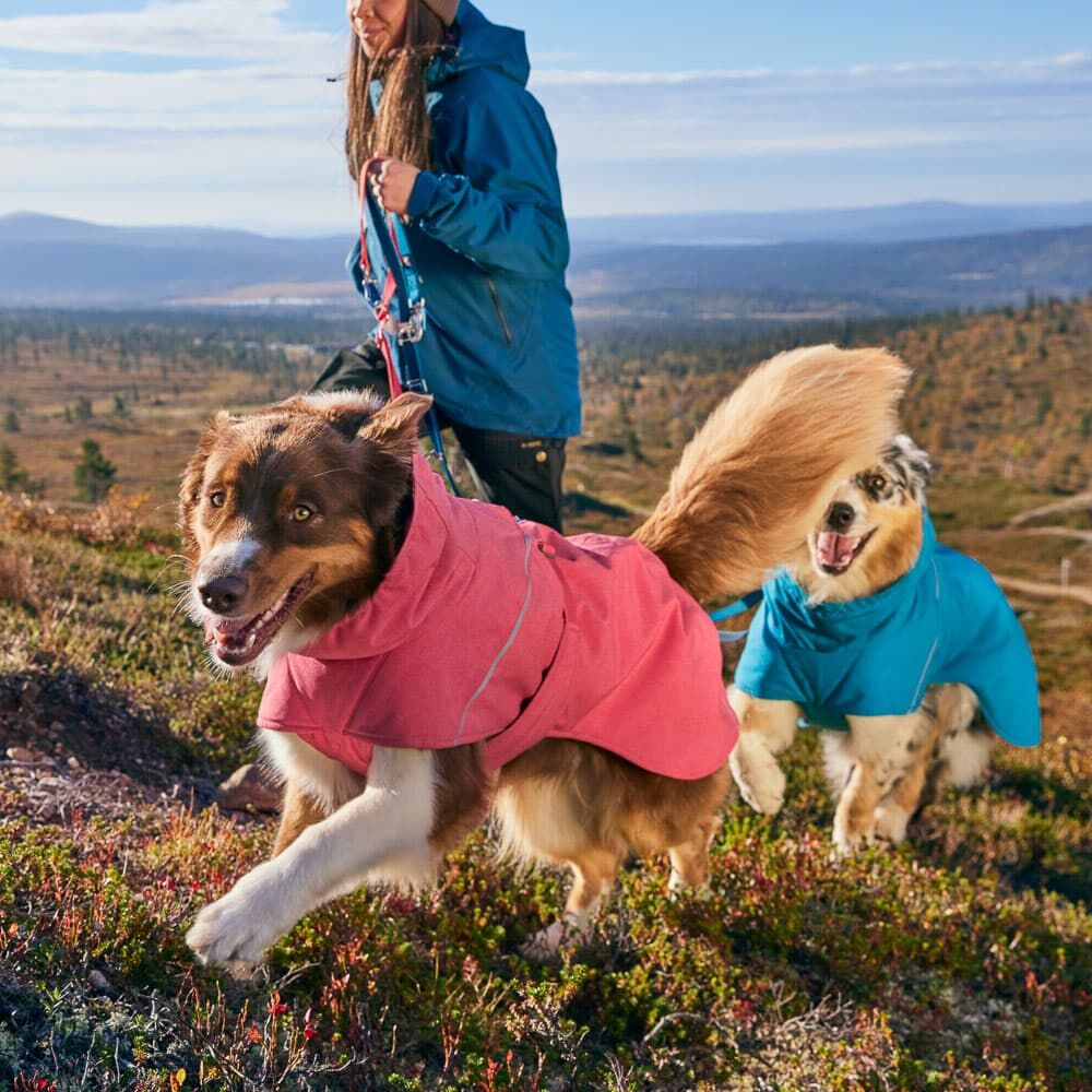 Hundejacke Expedition Parka II – zusätzliche Produktansicht 6