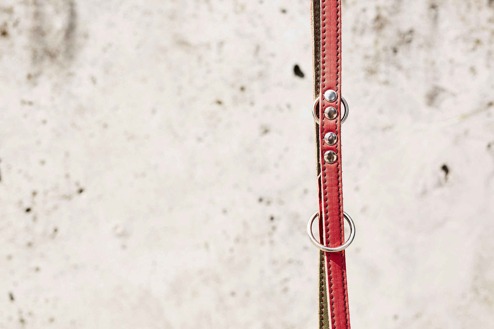 Rote Fettleder-Hundeleine EDELWEISS mit handgeflochtenen Details und silbernen Nähten, perfekt für stilvolle Hundehalter.