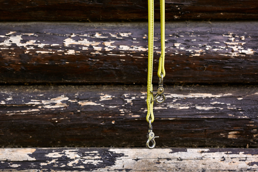Stylishes gelbes Hundehalsband mit Metallkarabinern an rustikalen Holz Hintergrund, perfekt für modebewusste Hundebesitzer.