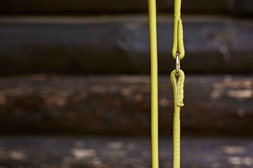 "Elegante gelbe Rundleine aus Leder für Hunde, stilvoll an Metallring befestigt, rustikaler Holz-Hintergrund."