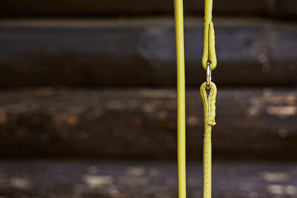 Stylishe gelbe Halsband-Leinen-Kombination von AMICI auf strukturierter Holzoberfläche. Fashion-Statement für Hunde!