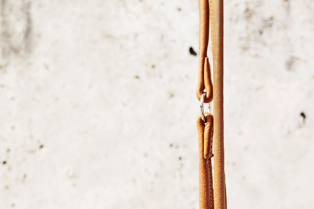Stylisches, naturfarbenes Lederriemen mit glänzender Oberfläche und metallischem Karabinerhaken für trendige Halsband-Leinen-Kombination.