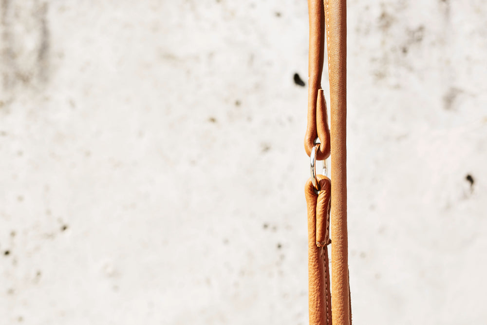 Stylisches, naturfarbenes Lederriemen mit glänzender Oberfläche und metallischem Karabinerhaken für trendige Halsband-Leinen-Kombination.