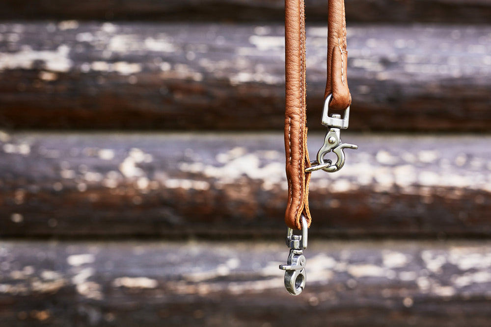 Braune Lederleine mit Metallkarabinern auf rustikalem Holzuntergrund, ideal für stilbewusste Hundehalter.