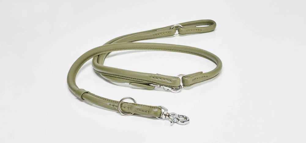 Elegante olivgrüne Rundleine aus glattem Material für modebewusste Hundefreunde mit Karabinerhaken.