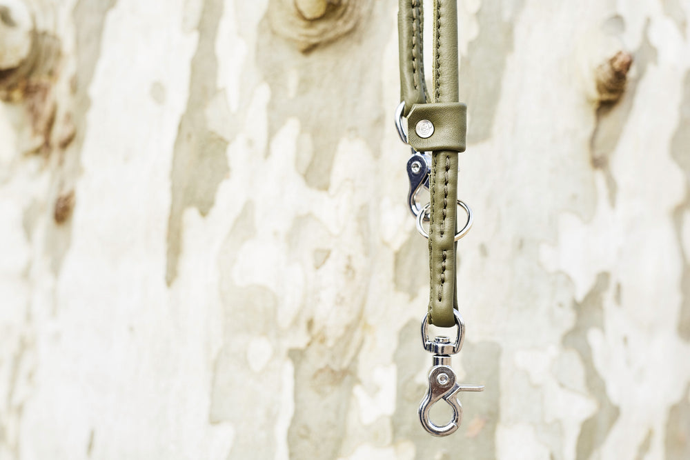 Grüner Hundeleinen-Haken aus Leder hängt an einem Baumstamm mit unscharfem Hintergrund.