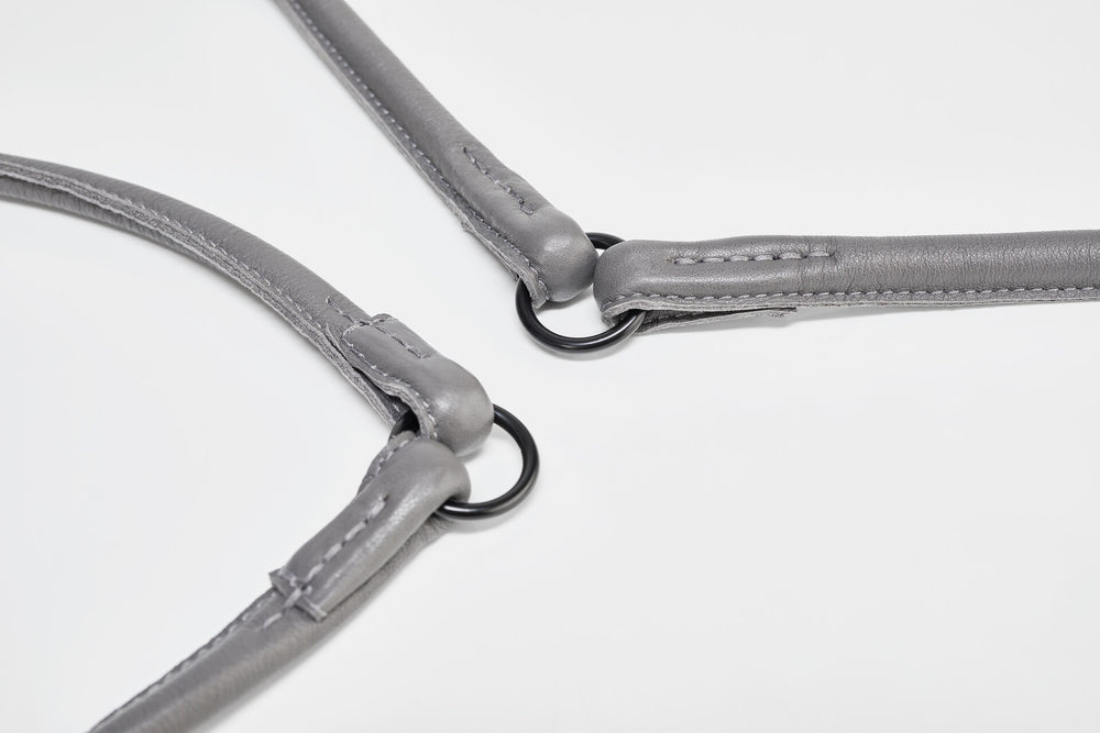 Stylisches graues Leder-Harness mit schwarzen Metallringen für Hunde als modisches Accessoire.