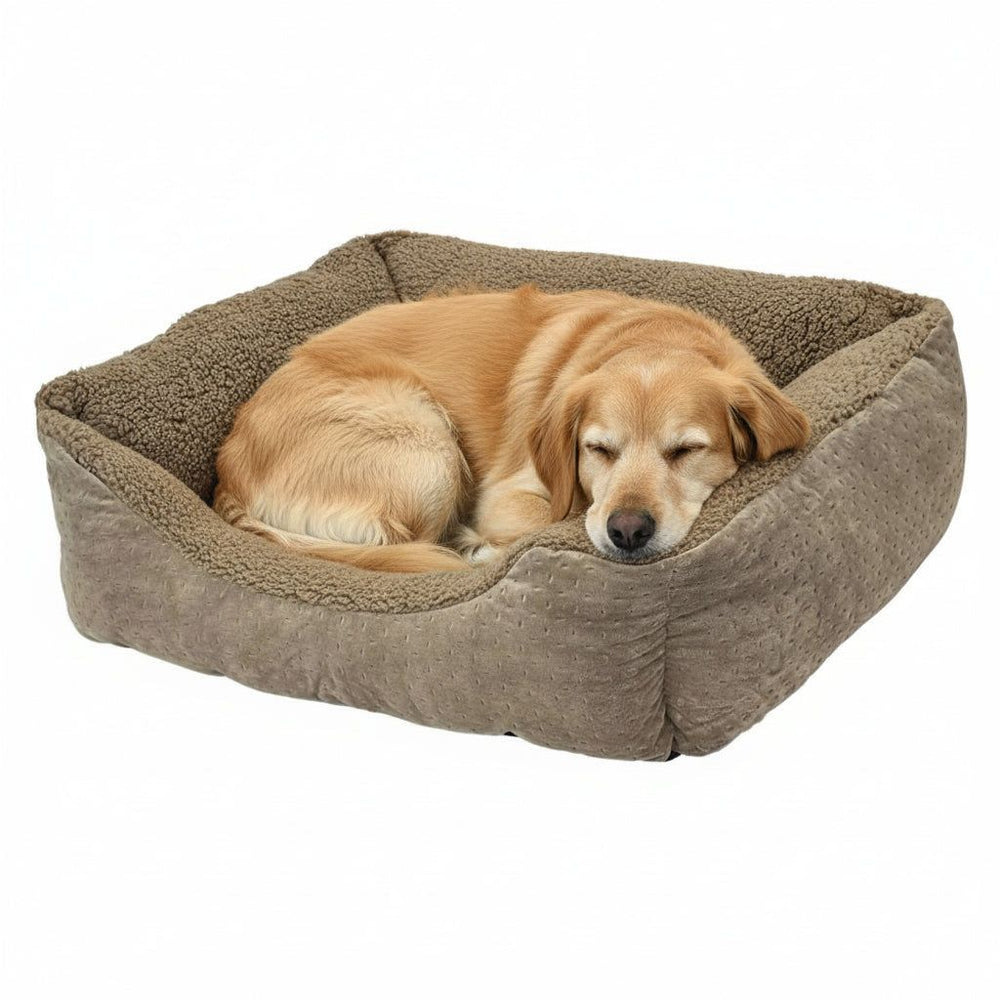 Beiger Hund im gepolsterten Komfortbett "TEDDY" schläft friedlich in seinem gemütlichen Platz.