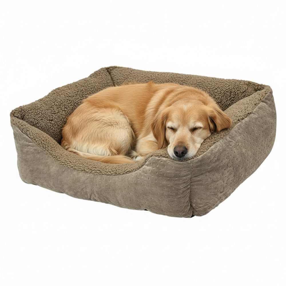 Beiger Hund im gepolsterten Komfortbett "TEDDY" schläft friedlich in seinem gemütlichen Platz.