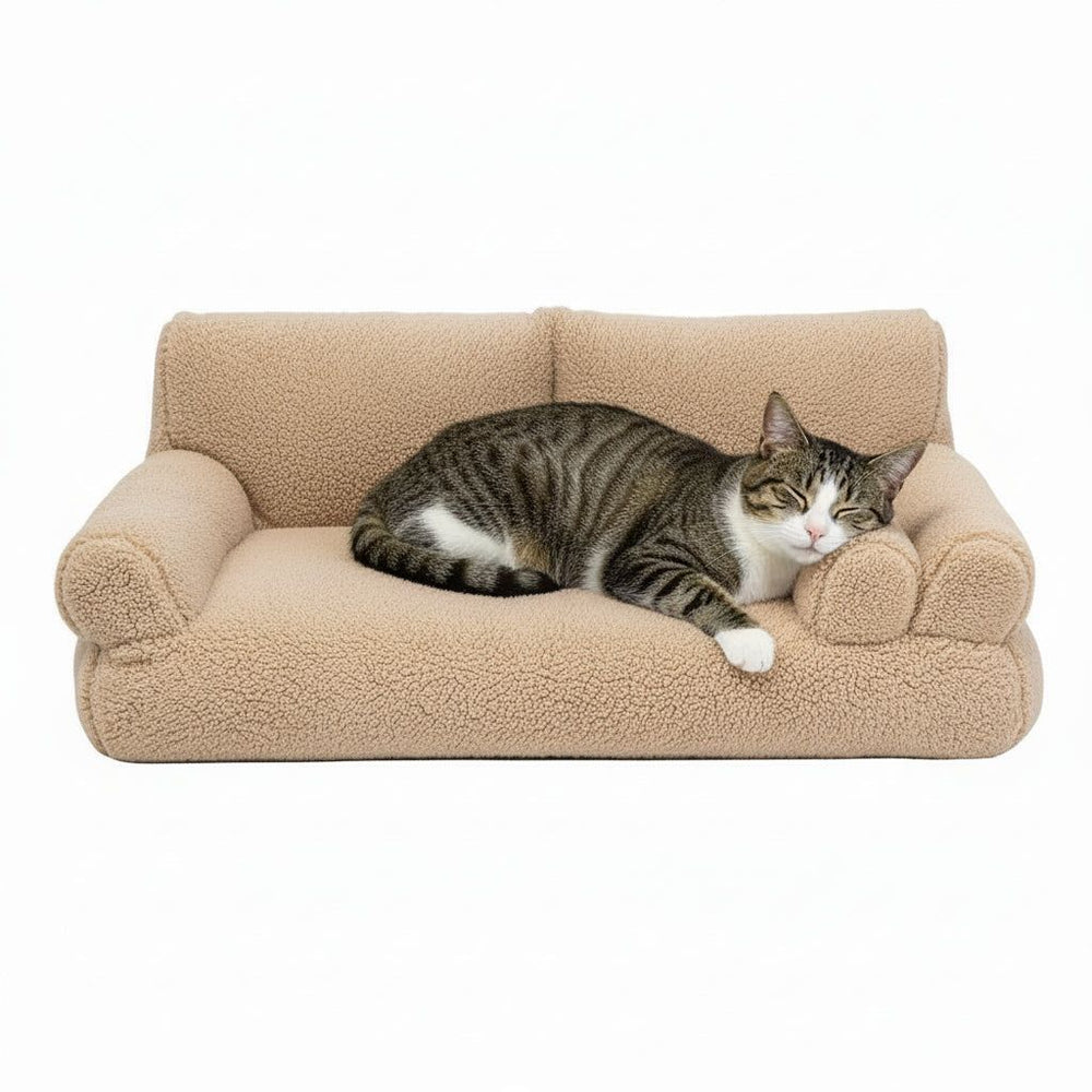 Gemütliches beige Plüschsofa "TEDDY" mit Katze, ideal für Entspannung und Komfort im Wohnzimmer.
