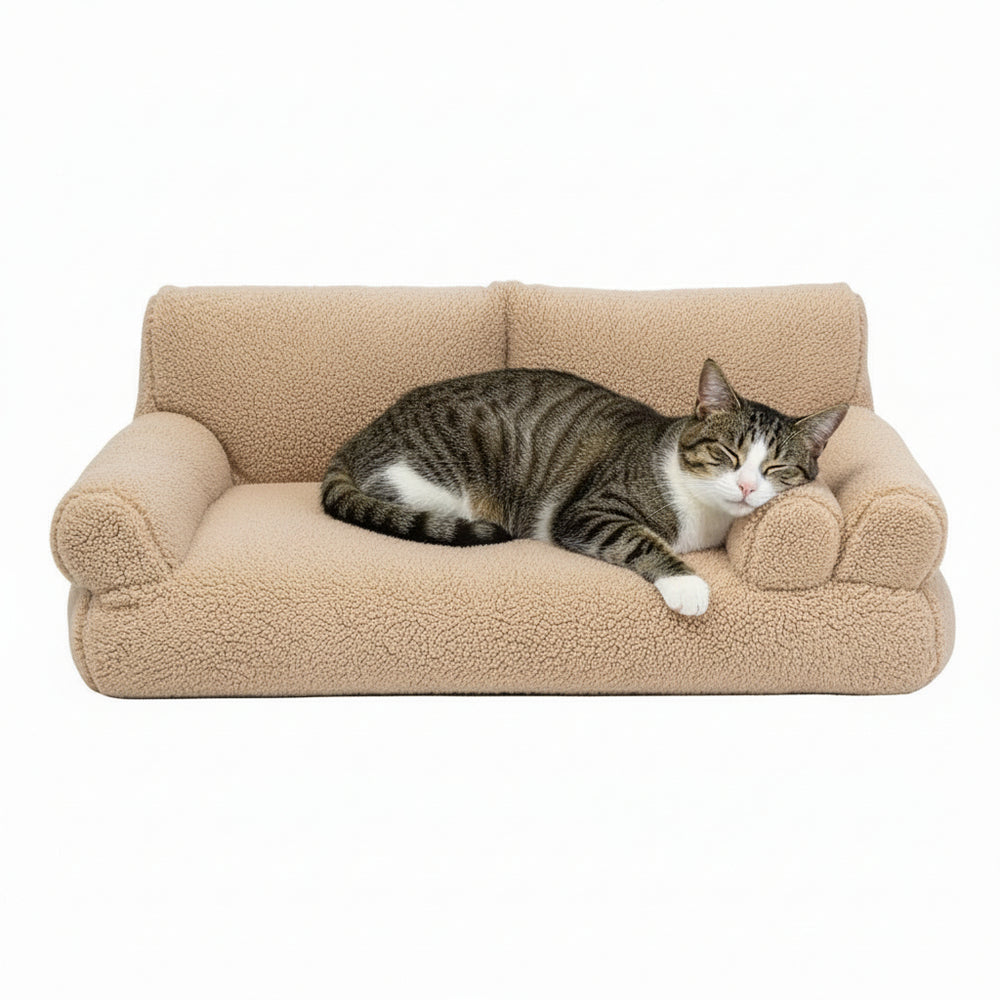 Gemütliches beige Plüschsofa "TEDDY" mit Katze, ideal für Entspannung und Komfort im Wohnzimmer.