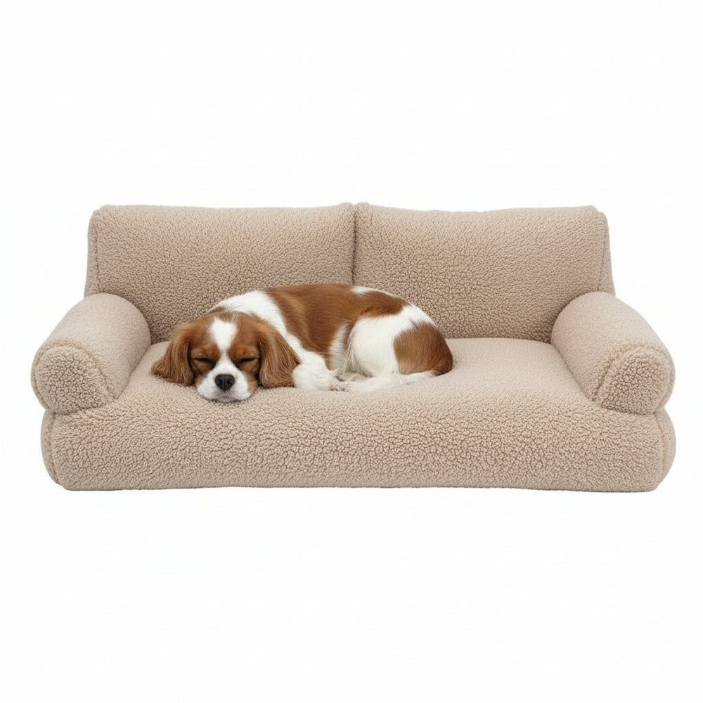 Beiges Komfort Plüschsofa "TEDDY" mit schlafendem Hund auf weicher, klassischer Oberfläche.