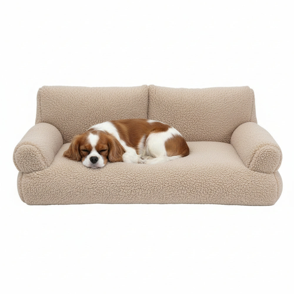 Beiges Komfort Plüschsofa "TEDDY" mit schlafendem Hund auf weicher, klassischer Oberfläche.