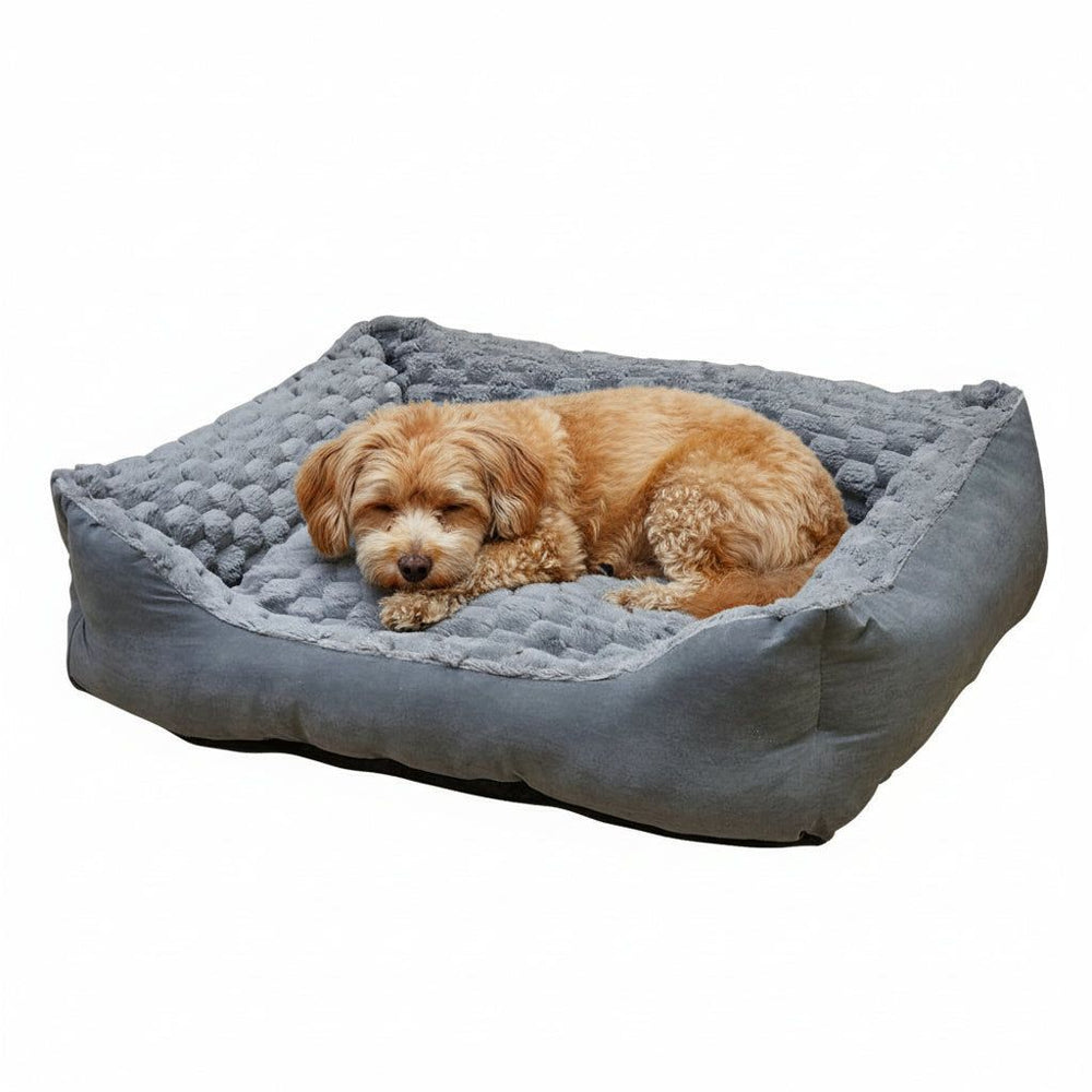 Gemütliches graues Hundebett "Diamond" mit braunem Hund, ideal zum Entspannen, rechteckige Form und weiche Oberfläche.