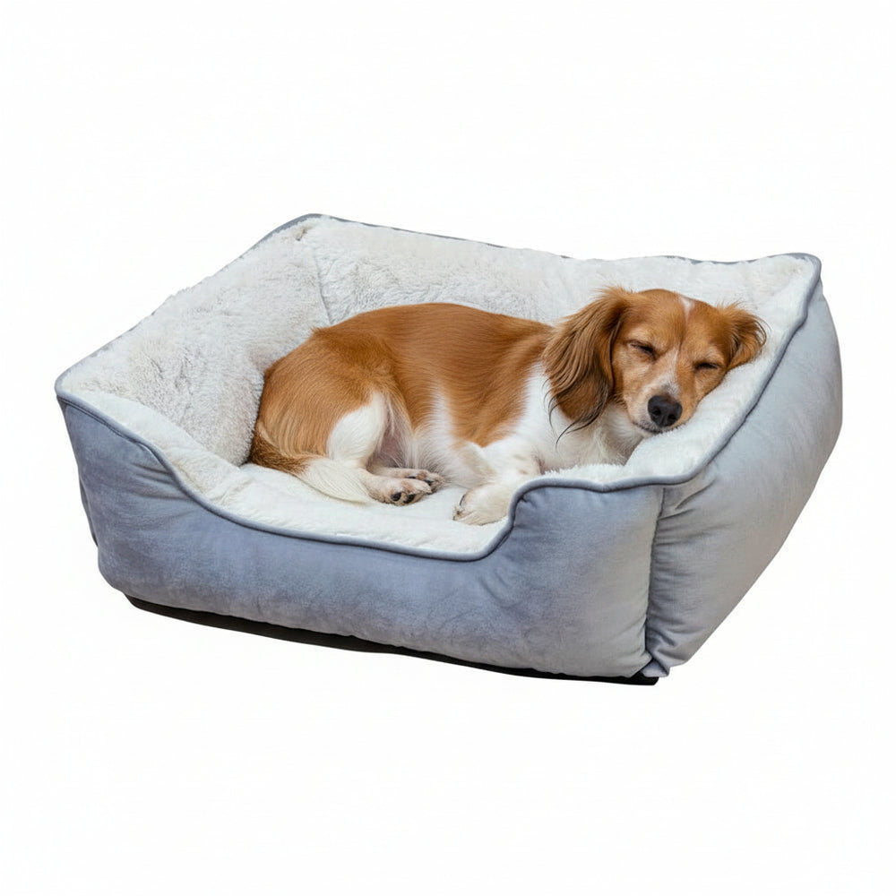 Komfortbett eckig "TOFA" mit braunem Hund, der entspannt auf weichem Innenfutter schläft.