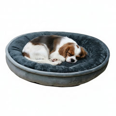 Cavalier King Charles Spaniel schläft gemütlich auf dem grauen Komfortbett Donut "LEIF" für Hunde.