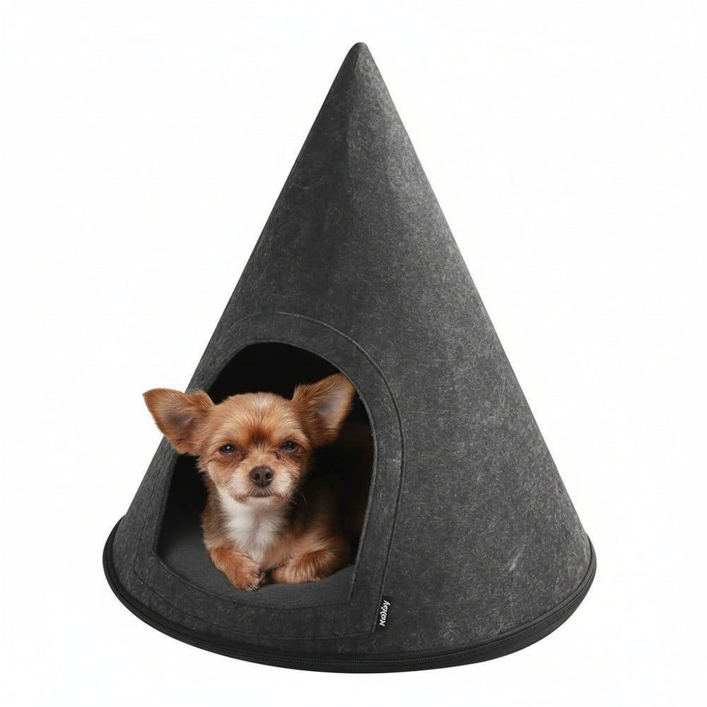 Hundeförmiges Zelt "TIPPI" in grau mit Chihuahua, der neugierig aus dem Eingangsbereich schaut.