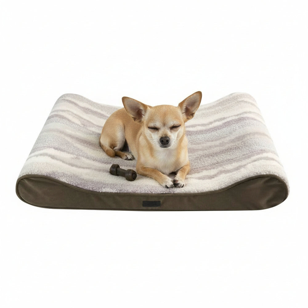 Kleiner Hund schläft friedlich auf beiger Komfort Relaxmatte "SORIN" mit gestreiftem Bezug und Spielzeug.