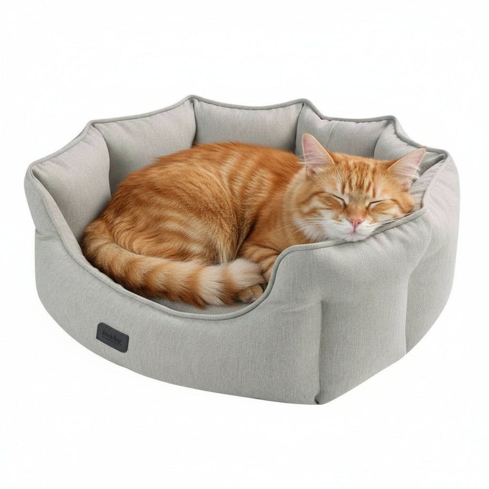 Gemütliches ovales Katzenbett "VALEA" in hellgrau mit einer entspannten orange-getigerten Katze.