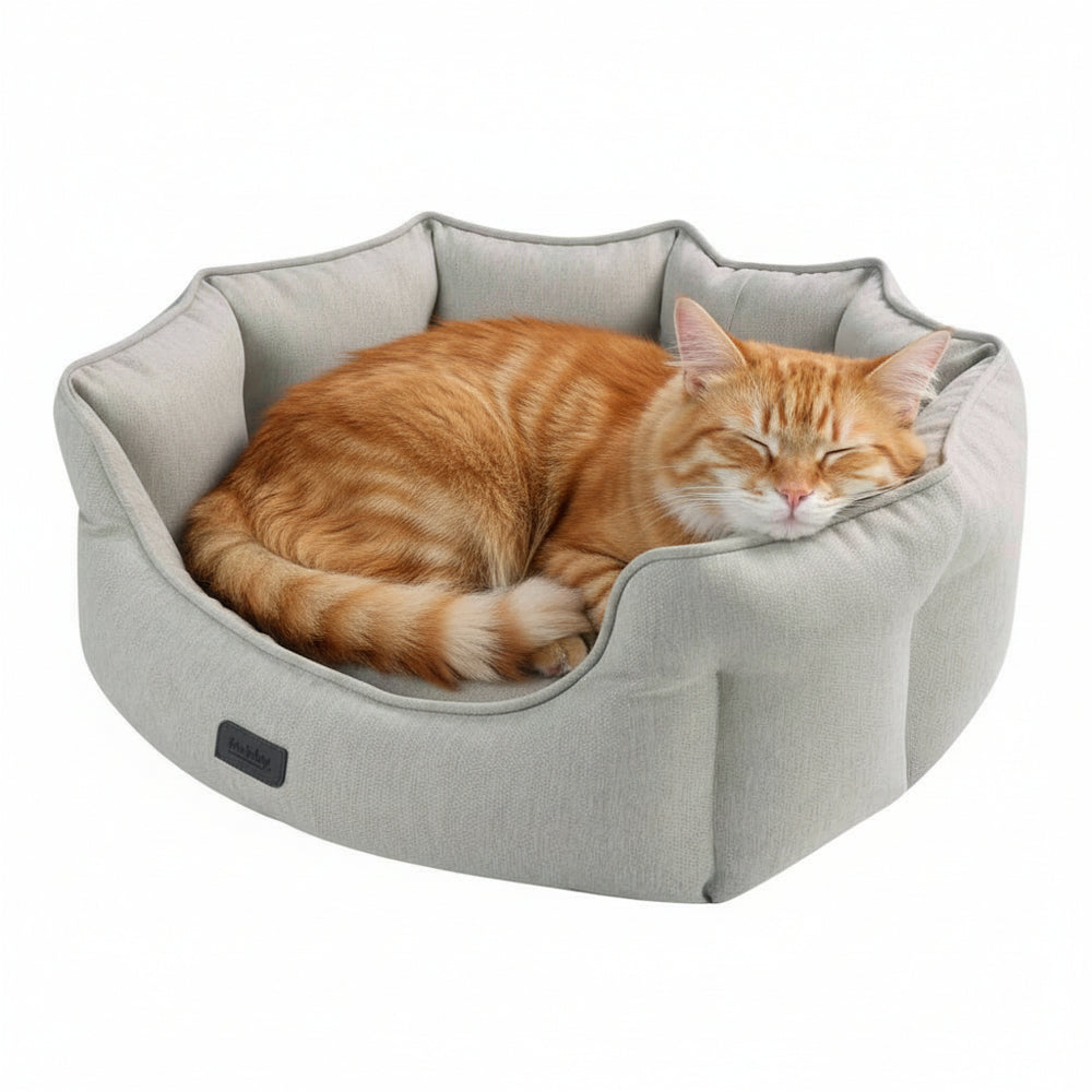Gemütliches ovales Katzenbett "VALEA" in hellgrau mit einer entspannten orange-getigerten Katze.