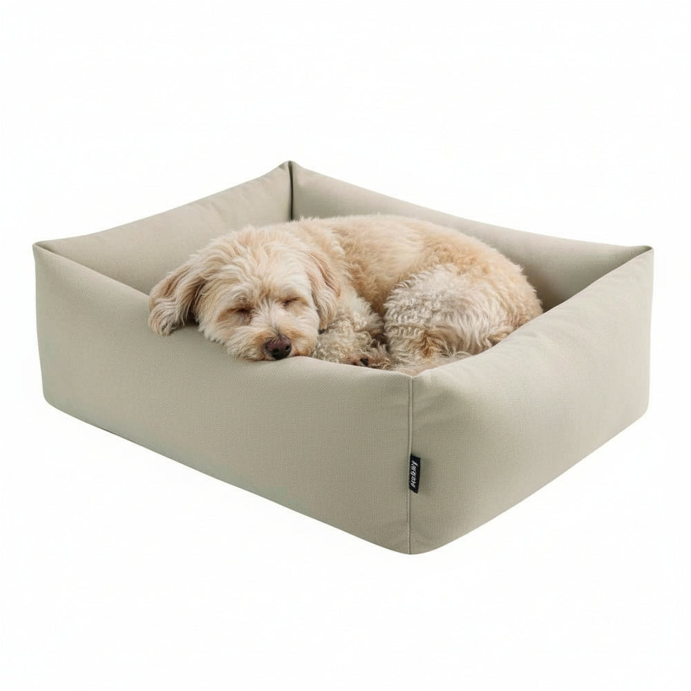 Hundefreundliches eckiges Bett "NELU" in beige mit schlafendem Hund, weich und bequem, hohe Seiten für optimalen Komfort.