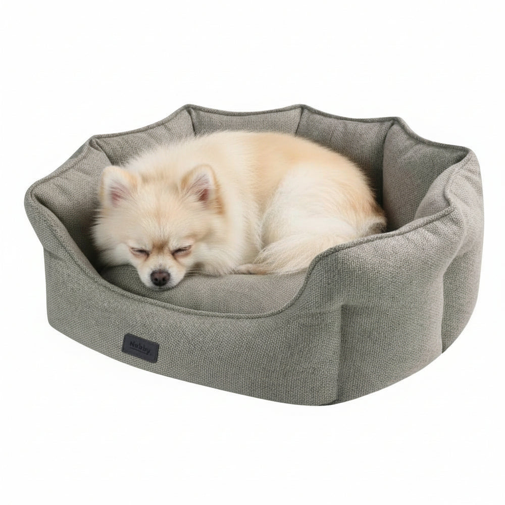 "Bequemes ovales Hundebett 'ANDA' in grau mit schlafendem Pomeranian darin, hohe Umrandung und weiche Polsterung."