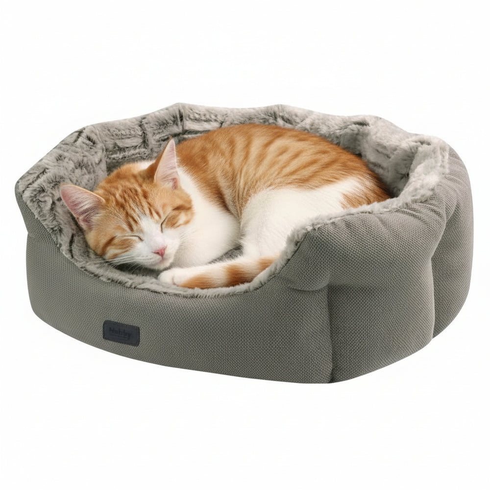 Graues ovales Katzenbett "CACHO" mit flauschigem Futter, in dem eine orange-weiße Katze entspannt schläft.